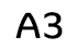 A3